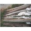 Image 2 : various poles (used for scarecrows) - 2x 5", rest are 3"
