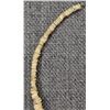 Image 16 : ANASAZI SHELL NECKLACES