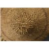 Image 7 : PAIUTE SEED BASKET