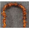 Image 6 : AMBER NECKLACE