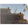 Image 8 : ZUNI PAINTING (DUANE DISHTA)