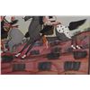 Image 10 : NAVAJO PAINTING (EUGENE HOLGATE)