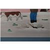 Image 8 : NAVAJO PAINTING (JIMMY TODDY JR.)