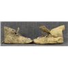 Image 4 : CROW BABY MOCCASINS