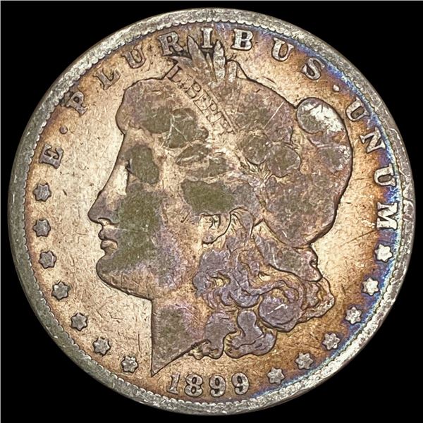 1899 Morgan Silver Dollar LIGHTLY CIRCULATED LIGHTLY CIRCULATED