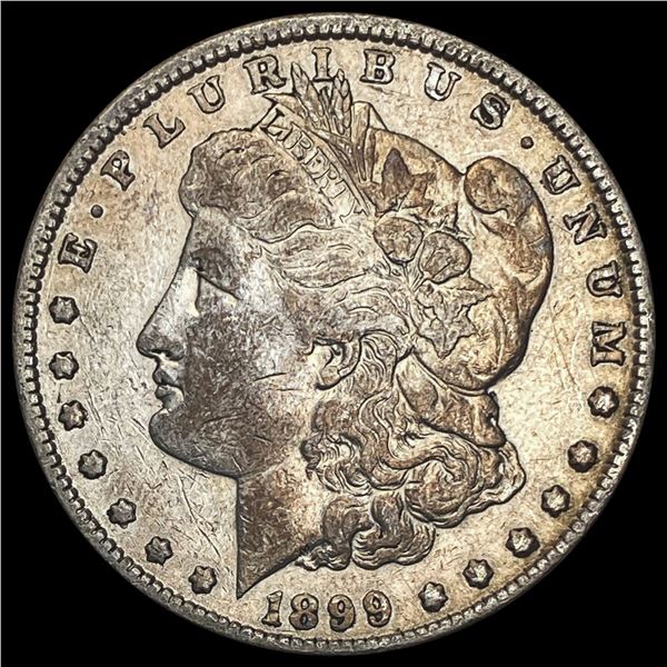 1899 Morgan Silver Dollar LIGHTLY CIRCULATED LIGHTLY CIRCULATED