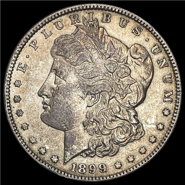 1899 Morgan Silver Dollar LIGHTLY CIRCULATED LIGHTLY CIRCULATED