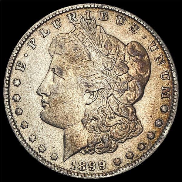 1899 Morgan Silver Dollar LIGHTLY CIRCULATED LIGHTLY CIRCULATED