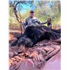 Image 8 : Black Bear Hunt on the White Mountain Apache Reservation in Arizona