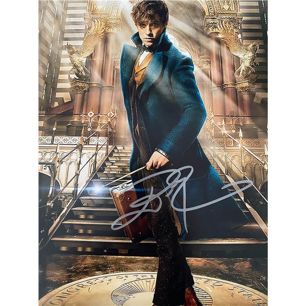 Fantastic Beasts Eddie Redmayne signed photo