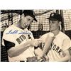 Image 1 : Boston Red Sox Ted Williams signed photo