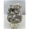 Image 1 : 5 X 3 INCH GREEN FLUORITE WITH CALCITE SPECIMEN ON STAND