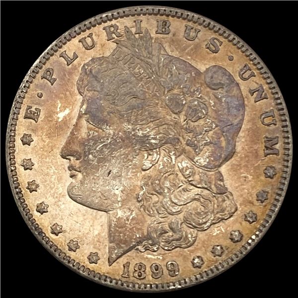 1899 Morgan Silver Dollar LIGHTLY CIRCULATED