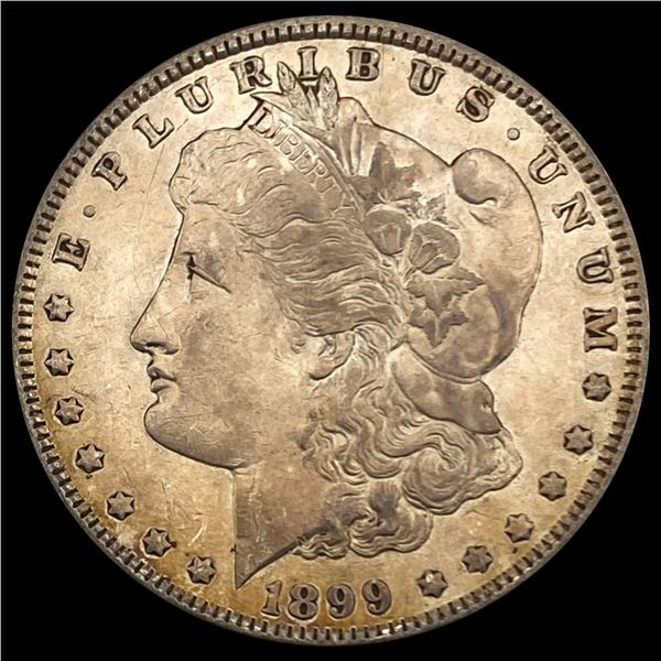 1899 Morgan Silver Dollar LIGHTLY CIRCULATED