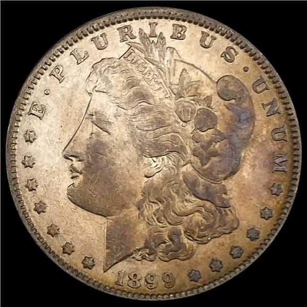 1899 Morgan Silver Dollar LIGHTLY CIRCULATED