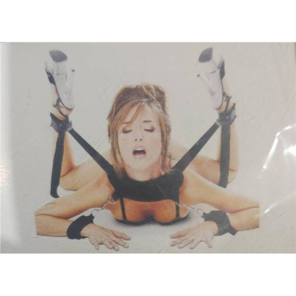 Adjustable Restraint System with Wrist and Leg Straps