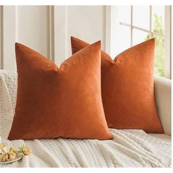 Orange Decorative Fabric Cover Set of 2 with Size 45_45 cm