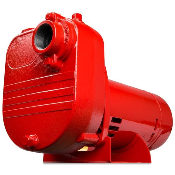 Red Lion Effluent/Utility Pump RL50, 1/2 HP, 115V, Thermoplastic