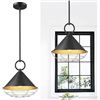 Image 1 : Emliviar YSE278MIL-M BK Large Pendant Light