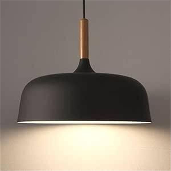 Chrasy Pendant Light Model LS070, 120V AC, 60Hz