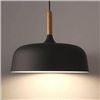 Image 1 : Chrasy Pendant Light Model LS070, 120V AC, 60Hz