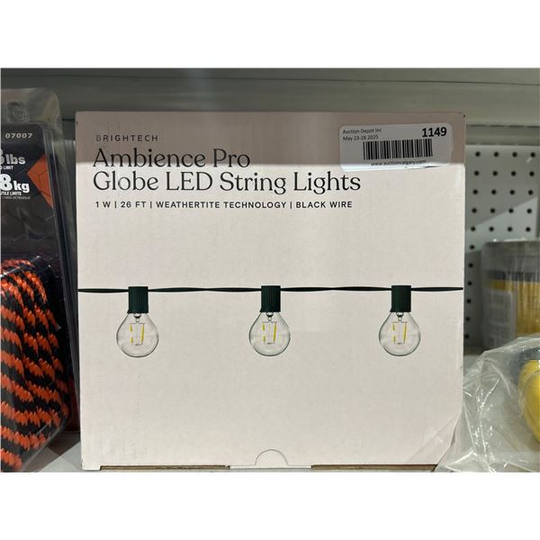 Brightech Ambience Pro Globe LED String Lights, 25 ft, Black Wire