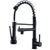 Image 1 : Fapully Black Kitchen Faucet, Commercial Kitchen Faucet with Pull Down Sprayer, Single Handle Spring
