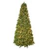 Image 1 : Home Accents HolidayÊ12 ft. Bristol Pine LED Pre-Lit Tree