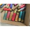 Image 2 : Vintage 10 Gauge + 12 Gauge Ammo ** MUST PROVIDE 