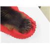 Image 8 : (Purchaser MUST Be from Manitoba) Black Bear Full Head Rug  
