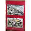 Image 3 : #164 BRITISH MILITARY CARTOON POST CARDS FRAMED