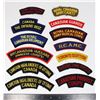 Image 1 : #348 LOT OF CANADIAN MILITARY SHOULDER TITLES INC
