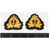 Image 1 : #353 ROYAL CANADIAN NAVY LOT 2 CAP BADGES CLOTH