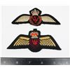 Image 1 : #386 LOT OF 2 ROYAL CANADIAN AIR FORCE WINGS TYPES