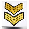 Image 1 : #425 PAIR OF LAW ENFORCEMENT CHEVRON CORPORAL