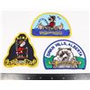 Image 1 : #439 LOT OF 3 RCMP SHOULDER PATCHES ALBERTA SWAN