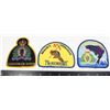 Image 1 : #442 LOT OF 3 RCMP SHOULDER PATCHES SASKATOON