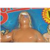 Image 10 : #532 LJN WWF WRESTLING SUPERSTARS ADRIAN ADONIS