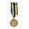 Image 2 : UNITED NATIONS SWEDISH BATTALION CAIRO MEDAL