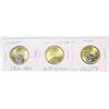 Image 1 : UNC 3X $1 LOONIES 2X COLORED 1X NON-COLORED