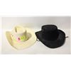 Image 1 : STALLION & FELT COWBOY HATS TOGETHER-ESTATE