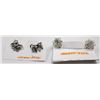 Image 1 : CORO SCREWBACK & AURORA BOREALIS CLUSTER EARRINGS