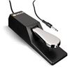 Image 1 : NEW WITH BOX M-AUDIO SP-2 UNIVERSAL PEDAL KEYBOARD