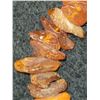 Image 7 : Polished  & Rough cut amber necklaces A