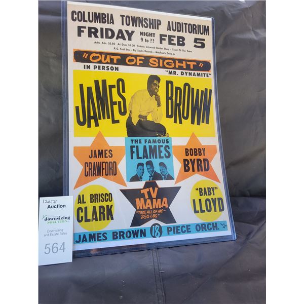 James Brown Out of Sight Concert Poster C