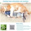 Image 3 : NEW USB Fish Cat Toy, Interactive w/Catnip Bag