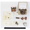 Image 1 : LOT OF FOSSILS