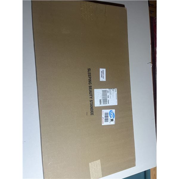 Disney’s Sleeping Beauty Standee