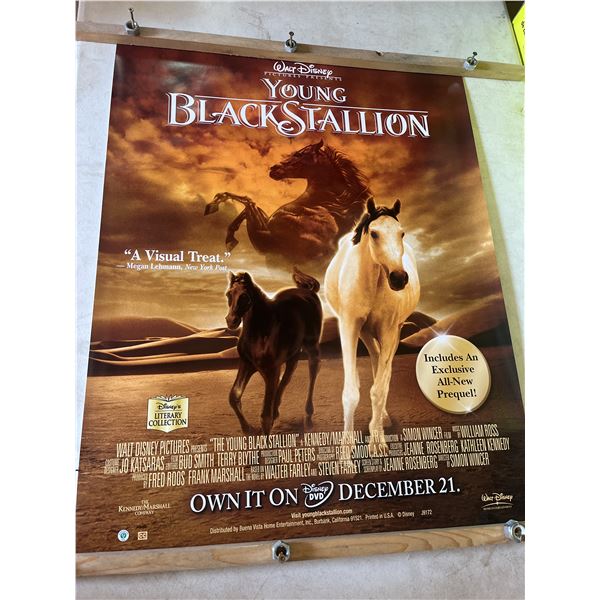 Walt Disney young black stallion, retail exclusive promotional poster