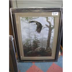 eagle In Flight Framed Print